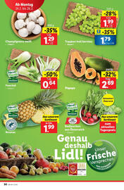 Lidl Flugblatt woche 8 Seite 34