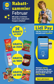 Lidl Flugblatt woche 8 Seite 41