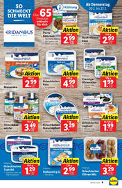 Lidl Flugblatt woche 8 Seite 9