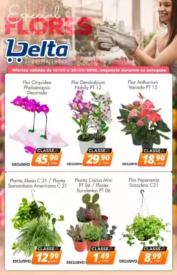 Catálogo Delta Supermercados (válido até 20-02)