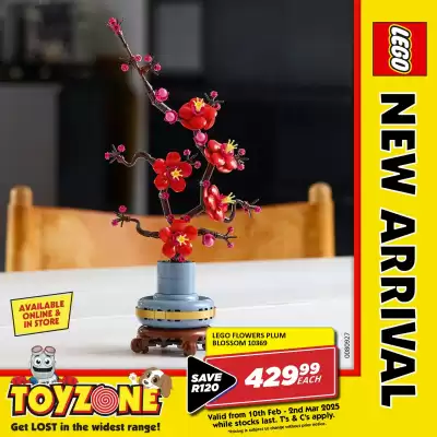 Toy Zone catalogue (valid until 21-02)