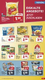 Famila Nord West Prospekt woche 8 Seite 11