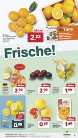 Famila Nord West Prospekt woche 8 Seite 3