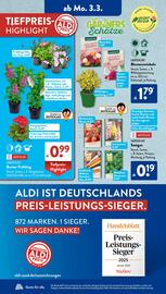 Aldi Süd Prospekt woche 10 Seite 6