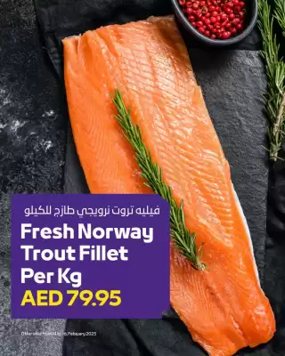 Abu Dhabi Coop catalogue (valid until 1-03)