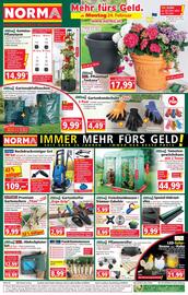 Norma Flugblatt woche 9 Seite 1