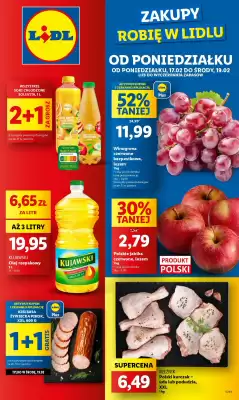 Lidl gazetka (ważność do 19-02)