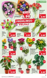 Kaufland DE folder week 8 Pagina 19