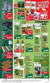 Kaufland DE folder week 8 Pagina 39