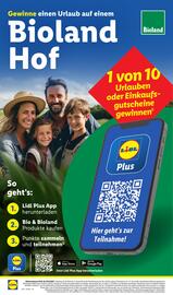 Lidl Prospekt woche 9 Seite 58