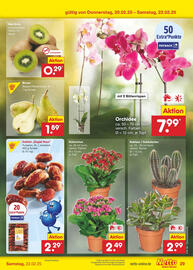 Netto Marken-Discount Prospekt woche 8 Seite 45