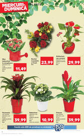 Catalog Kaufland săptămâna 8 Pagină 6