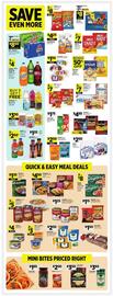 Dollar General Weekly Ad week 8 Page 3