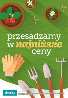 Dealz gazetka (ważność do 30-03)