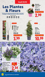 Catalogue Lidl semaine 8 page 34