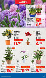 Catalogue Lidl semaine 8 page 35