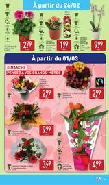 Catalogue ALDI semaine 9 page 36