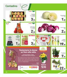 Volantino Spazio Conad Pagina 18