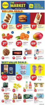 Lidl Weekly Ad (valid until 25-02)