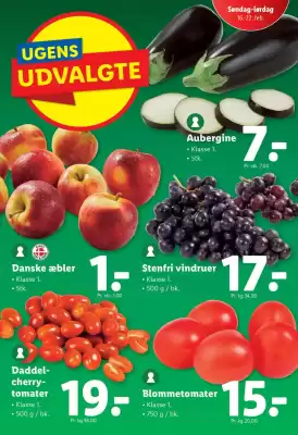 Lidl tilbudsavis (gælder indtil 22-02)