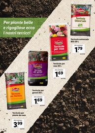 Volantino Lidl Pagina 12