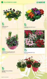 Catalogue Intermarché Express | JARDIN page 2