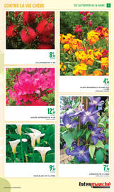 Catalogue Intermarché Express | JARDIN page 3