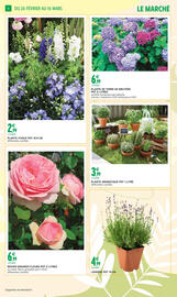 Catalogue Intermarché Express | JARDIN page 4