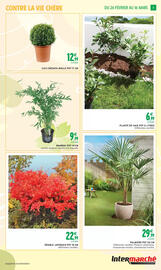 Catalogue Intermarché Express | JARDIN page 5