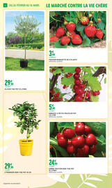 Catalogue Intermarché Express | JARDIN page 6