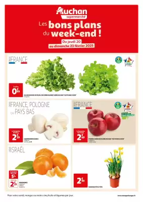 Auchan folder (geldig t/m 23-02)