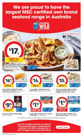 Coles catalogue week 8 Page 17