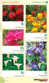 Catalogue Intermarché | Jardin page 3