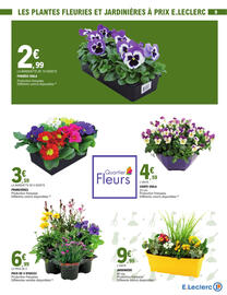 Catalogue E.Leclerc | Jardin page 9