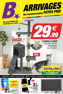 Catalogue Bazarland (valable jusqu'au 2-03)