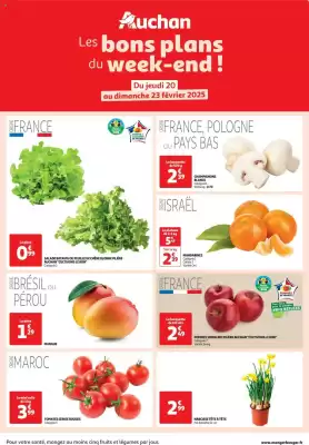 Catalogue Auchan (valable jusqu'au 23-02)