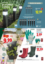 Catalogue Lidl | La sélection jardin page 16