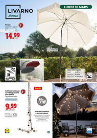 Catalogue Lidl | La sélection jardin page 22