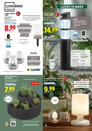 Catalogue Lidl | La sélection jardin page 26