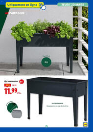 Catalogue Lidl | La sélection jardin page 41