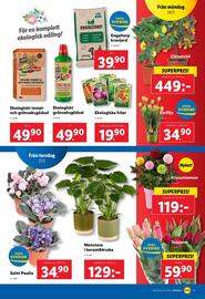 Lidl reklamblad vecka 9 Sida 23