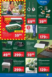 Lidl reklamblad vecka 9 Sida 25