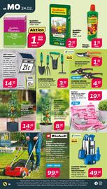 NETTO Prospekt woche 9 Seite 16