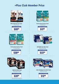 Pets Domain catalogue week 8 Page 2