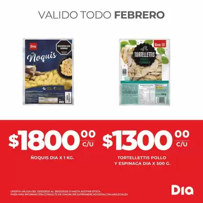 Catálogo Supermercados DIA (válido hasta 28-02)