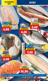 Lidl gazetka Strona 28