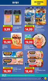 Lidl gazetka Strona 29