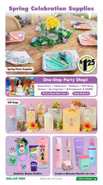 Dollar Tree flyer Page 7