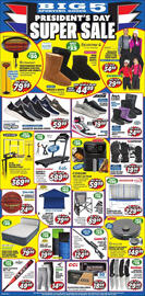 Big 5 Weekly Ad Page 1