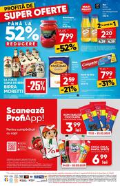 Catalog PROFI Pagină 16